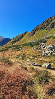Photo de Anna Wilding le long du parcours