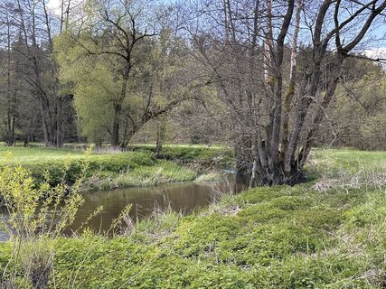 Foto de Norbert Herbig a lo largo del recorrido