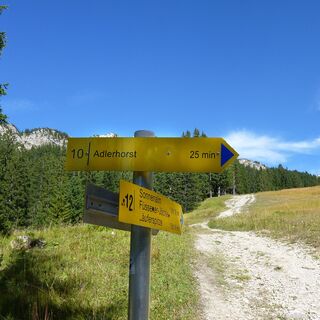 Am Weg zum Adlerhorst
