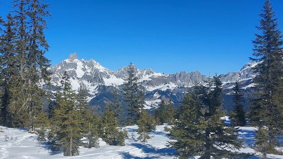 Fotografija s spletne strani Karin Svozil na poti