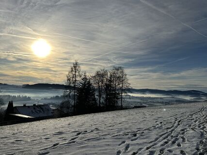 Foto von Babs Holz entlang der Tour