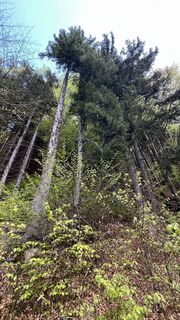 Foto von Maja Mariann Nagy entlang der Tour