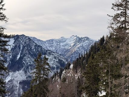 Zdjęcie z Natur_erleben_dg wzdłuż trasy