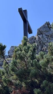 Zdjęcie z Mountain Cat ? ⛰️ wzdłuż trasy