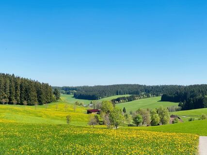Blick auf Brigach