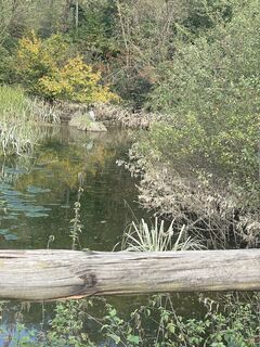 Fotografie z Ginni69 na trase