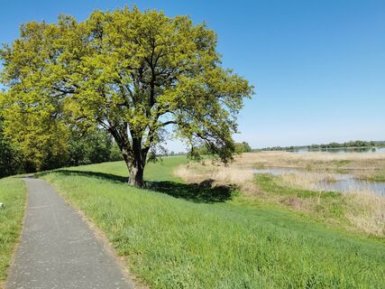 Fotografia z Wolfgang Runge na trase