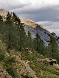 Photo de Chris Schöbben le long du parcours