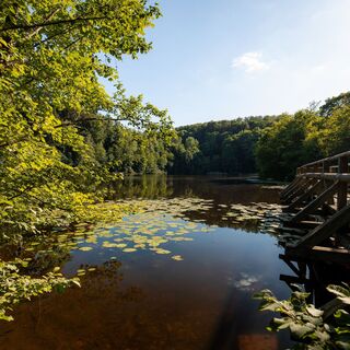 Bergsee Delliehausen