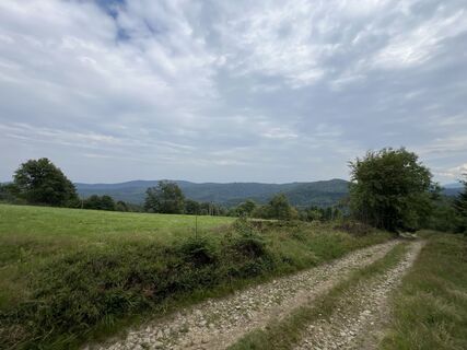 Fotografija s spletne strani Wojciech Godlewski na poti