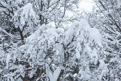 Winterlandschaft
