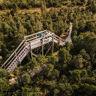 Georgenfelder Hochmoor