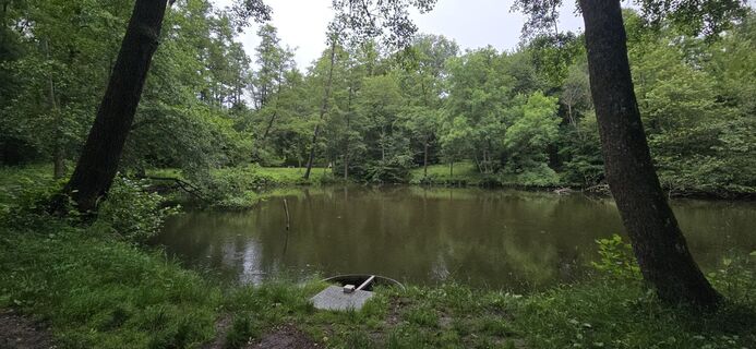 Fotografija s spletne strani Hieu Duc Tram (Tudoi61) na poti