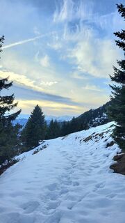 Photo de Ursula Schmid le long du parcours