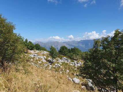 Fotografija s spletne strani Rctm56 na poti