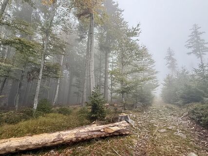 Fotografie z Natur_erleben_dg na trase