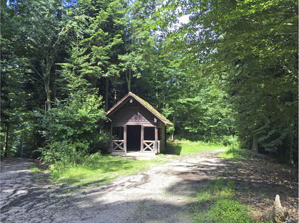 Hütte im Wald