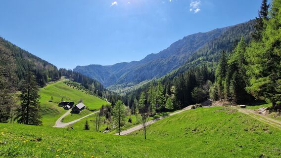 Photo de EP87 le long du parcours