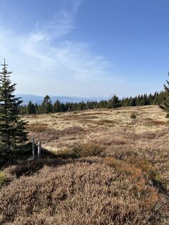 Foto fra Stefan Milchrahm undervejs på turen