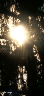 Fotografia z Urs Thoeny na trase