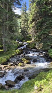 Photo de Cilli Waldhof le long du parcours