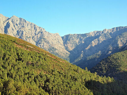 Bocca Capronale