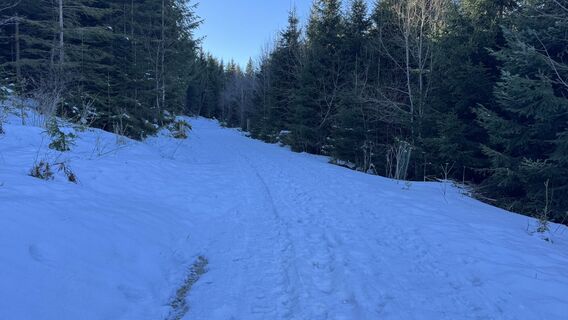 Foto de peter_oe a lo largo del recorrido