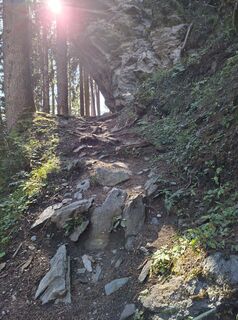 Photo de Stefan Eder 8 le long du parcours