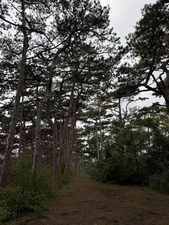 Фото с сайта Iulia Rubtsova во время экскурсии