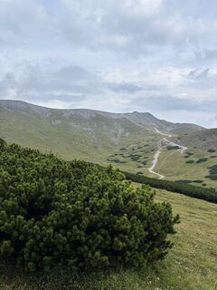 Fotografija s spletne strani Kovacs Bendeguz na poti