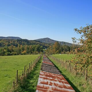 Oelbergblick-Foerderband-Huehnerberg