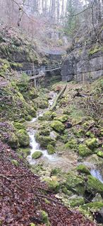 Photo de Zèé le long du parcours