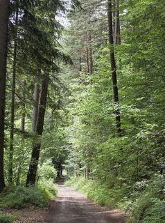 Foto von FritzB entlang der Tour
