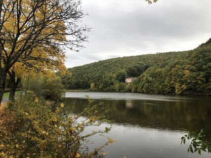 wirftstausee-stadtkyll-herbst-1