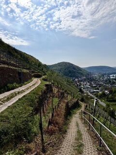 Photo de Carsten Bredemeier le long du parcours