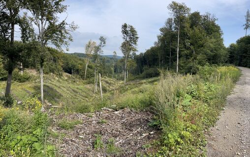 Fotografia z Christian Pfeiffer na trase