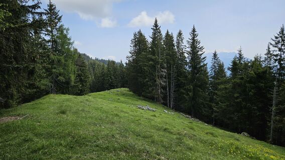 Photo de Christian Thomas le long du parcours