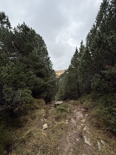 Foto fra Marisa scafetta undervejs på turen