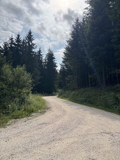 Fotografija s spletne strani Heinz Sperl na poti