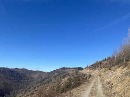 Foto von firebird 93 entlang der Tour