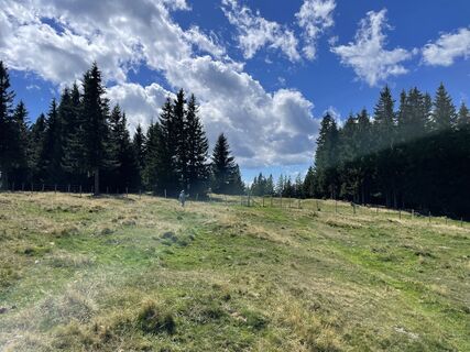 Fotografija s spletne strani Thomas Gogl na poti