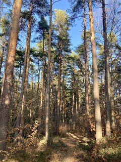 Fotografia z CT na trase