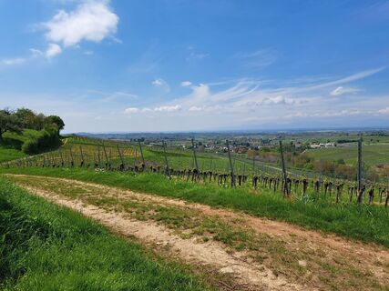 Fotografia z Sabine Krohn na trase