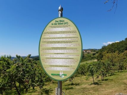 Erlebnis Weinlehrpfad Hoferberg Schautafel, Feistritztal in der Oststeiermark