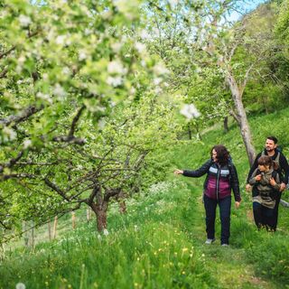 Wandern am Geopfad