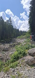 Fotografija s spletne strani David Bubenheim na poti