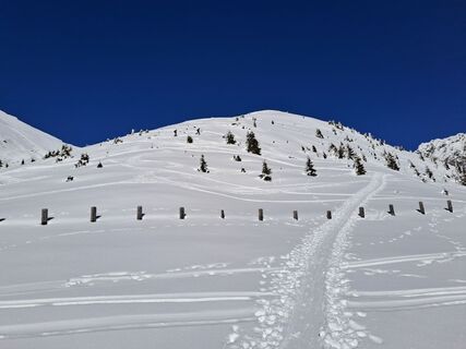 Photo de Elisabeth Thaler le long du parcours