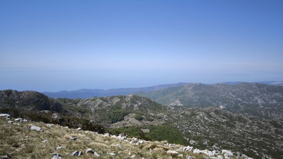 Zdjęcie z dino eminagic wzdłuż trasy