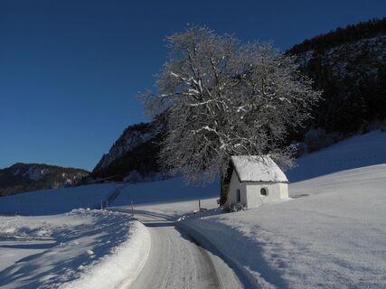 Winterwandrn rund um den Miesbverg Walchsee (4).JPG