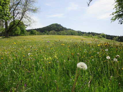 Erlebnistreff Oberhohenberg